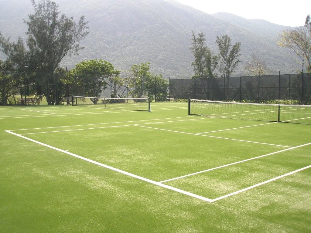 Grass Tennis Court